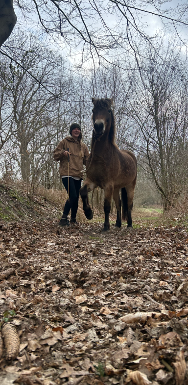 haus Frau mit Pferd im Beziehungstraining
